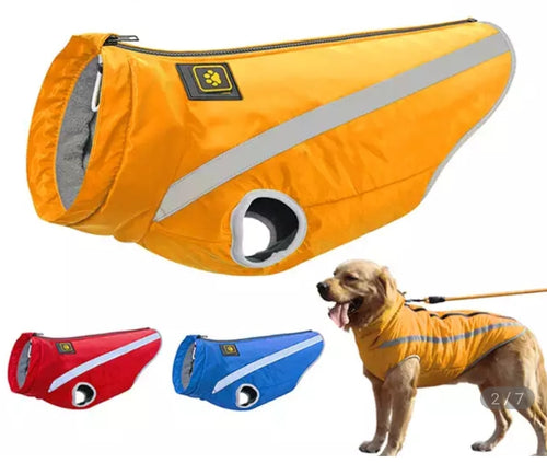 Dog Winter Clothes