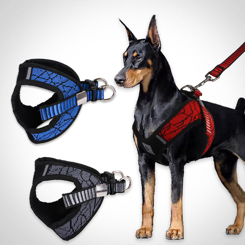 Reflective Dog Harness and Leash