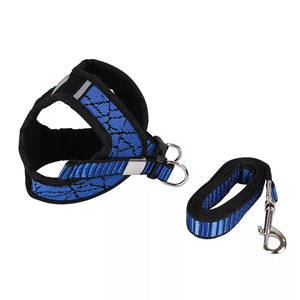 Reflective Dog Harness and Leash