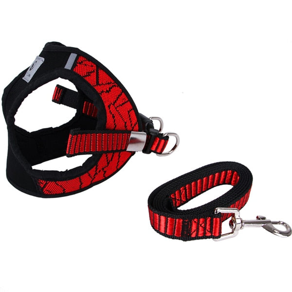Reflective Dog Harness and Leash