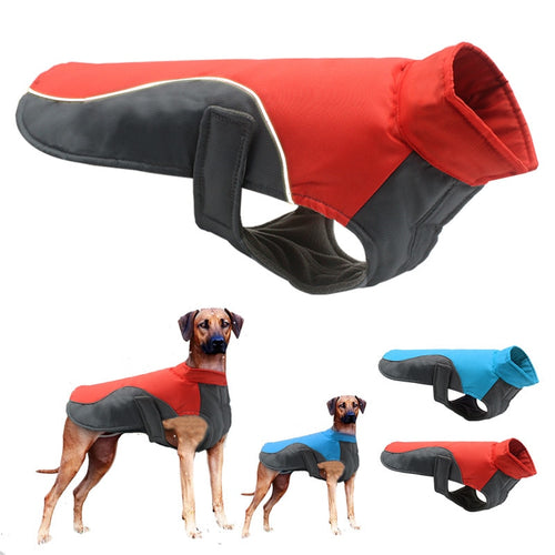 Waterproof Dog Winter