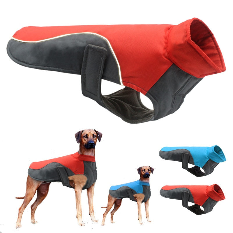 Waterproof Dog Winter