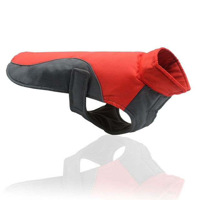 Waterproof Dog Winter
