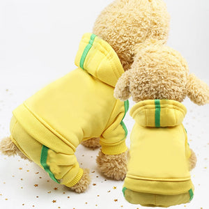 Spring Pet Dog Clothes