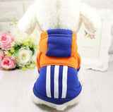 Cartoon Clothes Winter