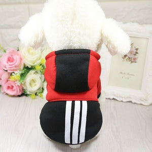 Cartoon Clothes Winter