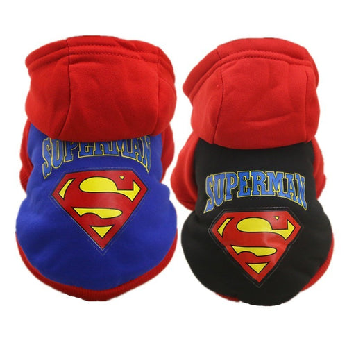 Superman dog