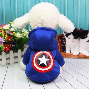 Superman dog