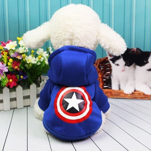 Superman dog