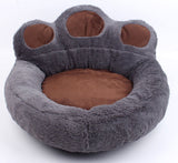 Pet Dog