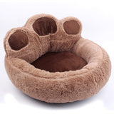 Pet Dog
