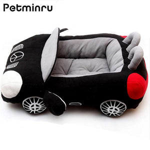 Petminru Car