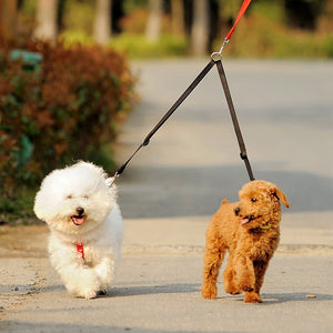 WALK 2 Two DOGS
