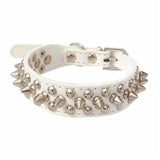 Transer Pet Dog Supplies