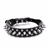 Transer Pet Dog Supplies