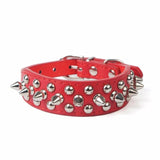 Transer Pet Dog Supplies