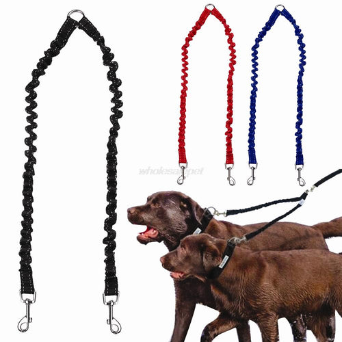 Double Dog Leash Elastic