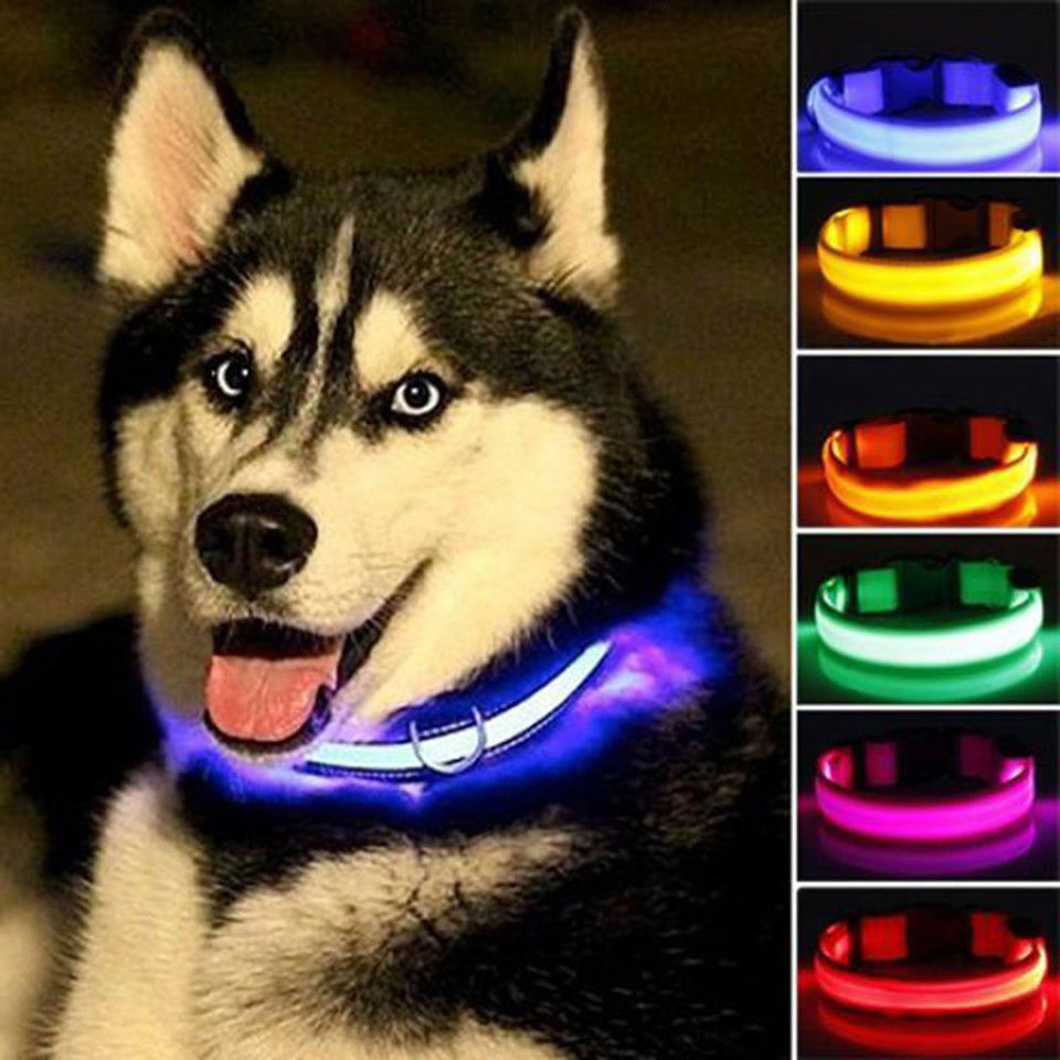 Nylon LED Pet dog