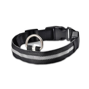 Nylon LED Pet dog