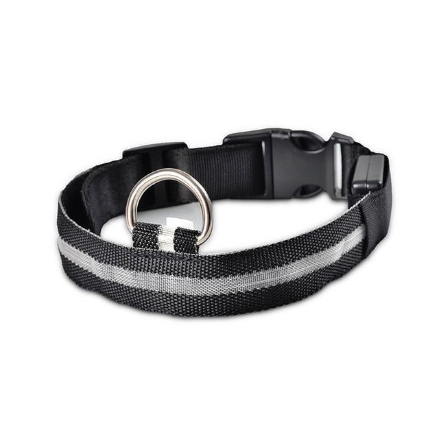 Nylon LED Pet dog
