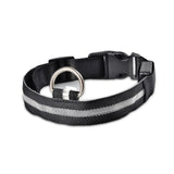 Nylon LED Pet dog