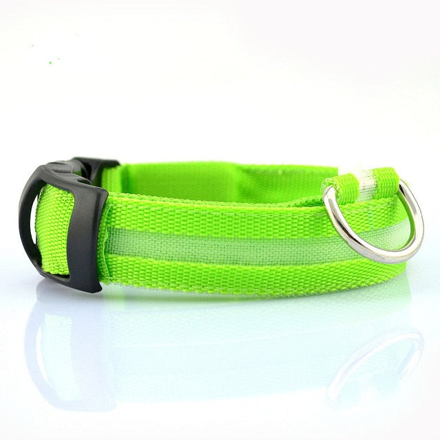 Nylon LED Pet dog