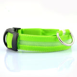 Nylon LED Pet dog