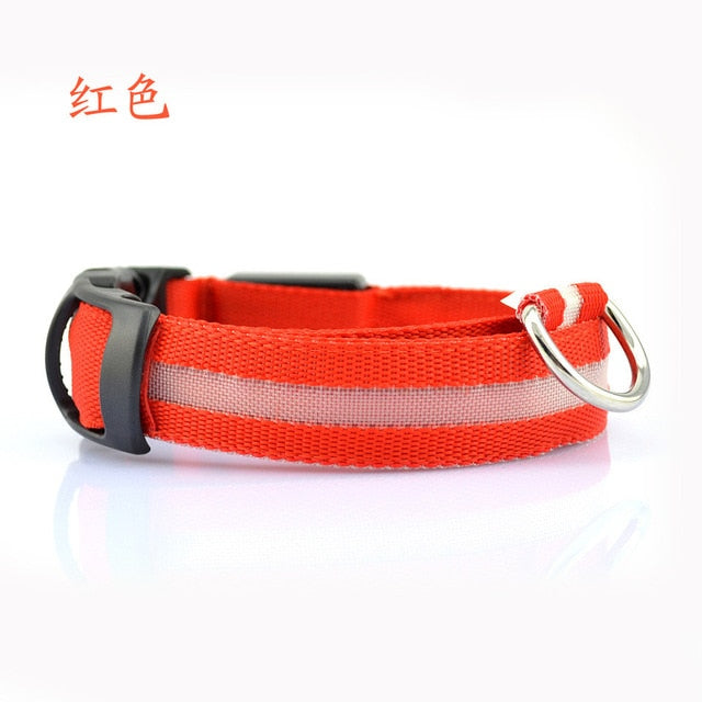 Nylon LED Pet dog
