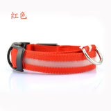 Nylon LED Pet dog