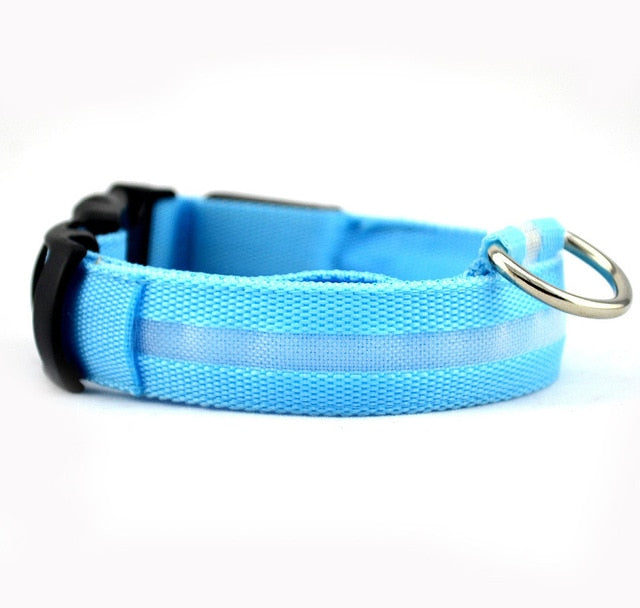 Nylon LED Pet dog