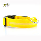 Nylon LED Pet dog