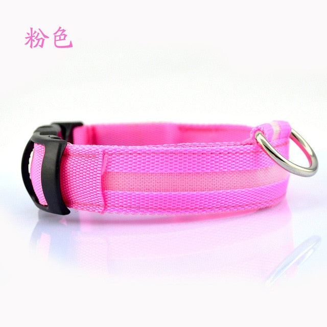 Nylon LED Pet dog