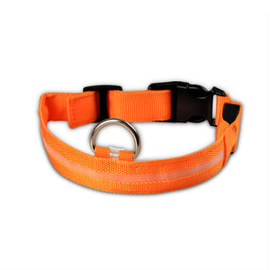 Nylon LED Pet dog