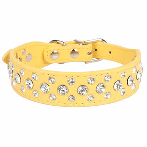 Dogs Collars