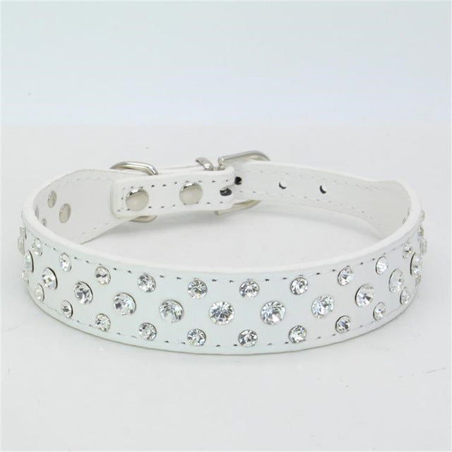 Dogs Collars