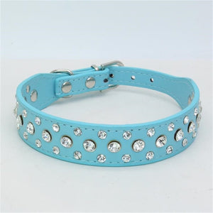Dogs Collars