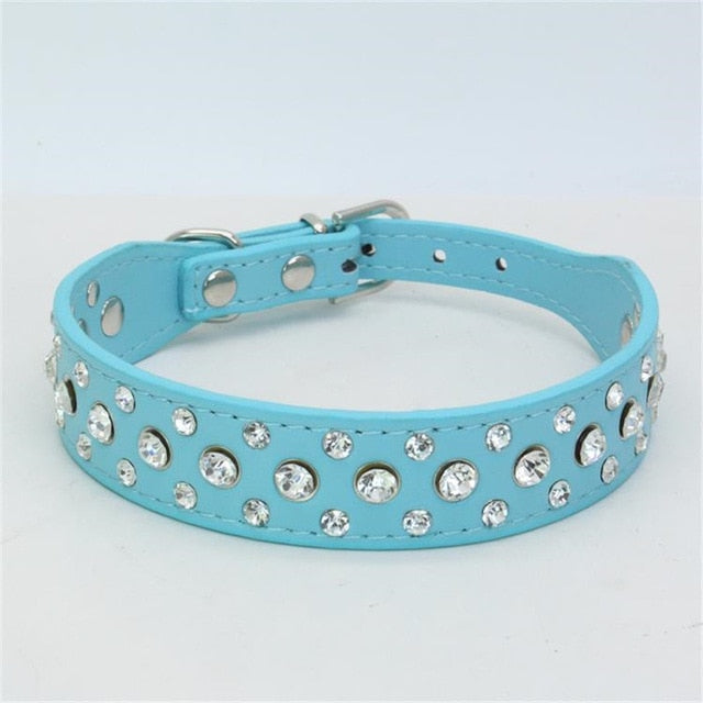 Dogs Collars