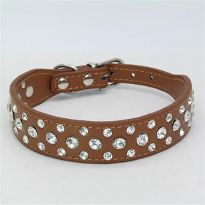 Dogs Collars