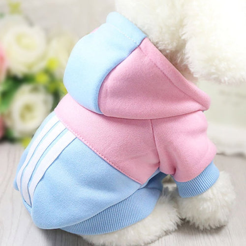 Dog Clothes Winter