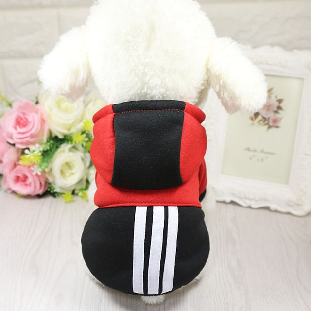 Dog Clothes Winter