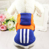 Dog Clothes Winter