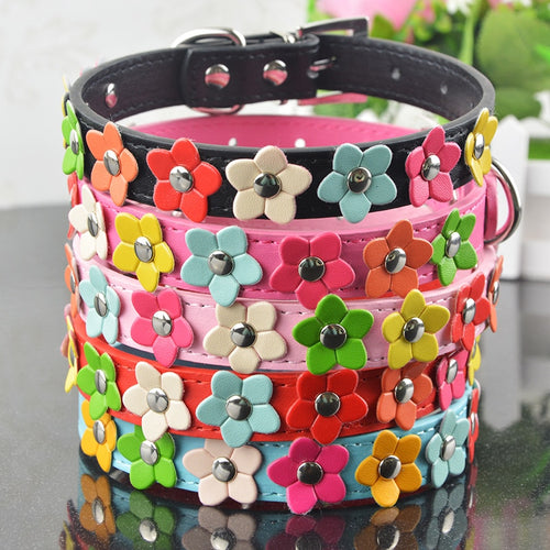 New Fashion collar