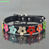 New Fashion collar