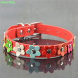 New Fashion collar
