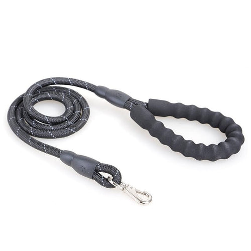 Quality Thick Nylon Dog