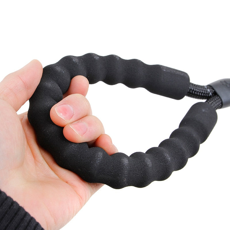 Quality Thick Nylon Dog
