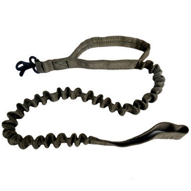 US Army Tactical Dog