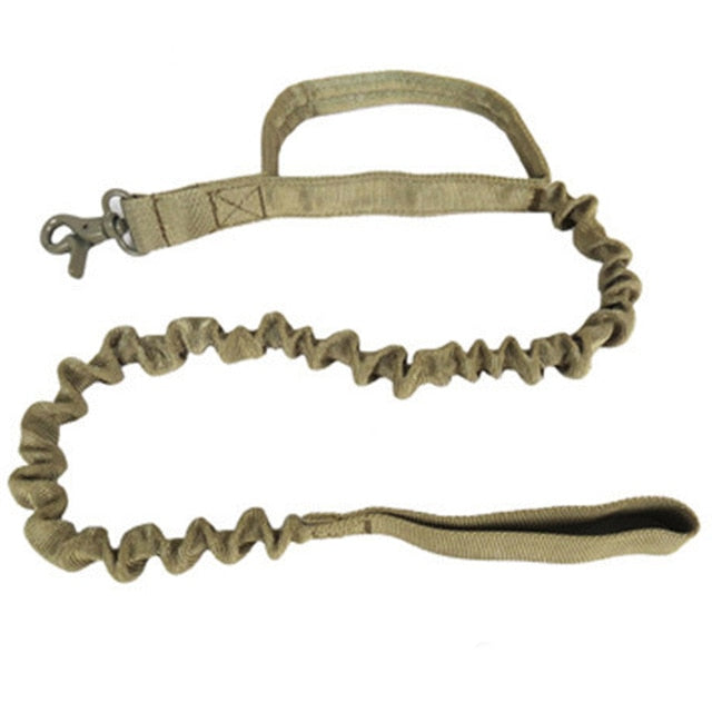 US Army Tactical Dog