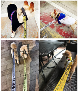 Dog Collar Harness Leash Fashion