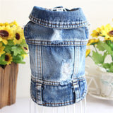 New 2019 Denim Pet Dog Clothes